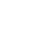 PCI DSS