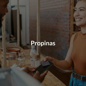Propinas